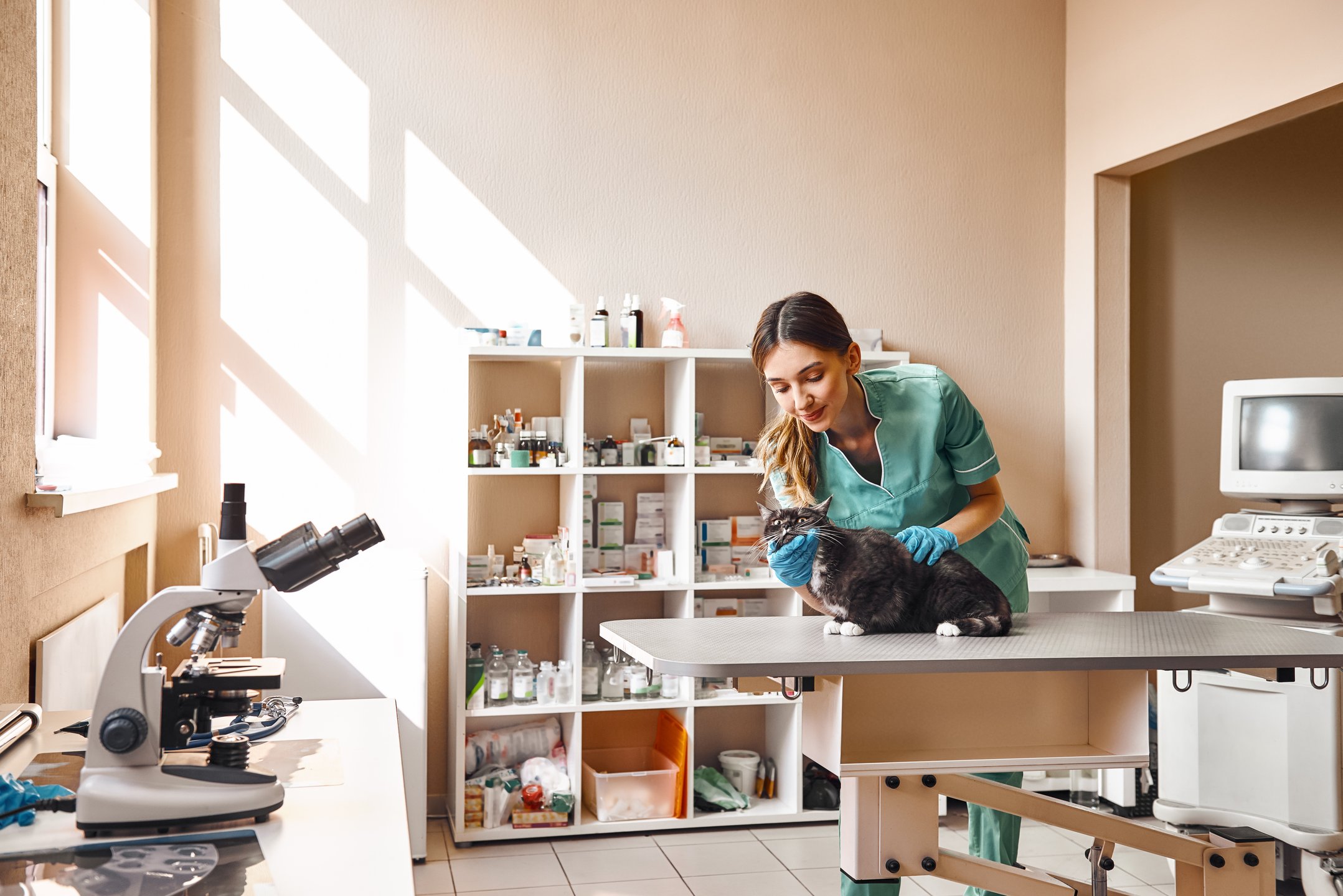 Mass Customization of Medicines